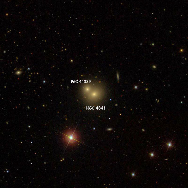 SDSS image of region near NGC 4841, also showing its apparent companion, elliptical galaxy PGC 44329