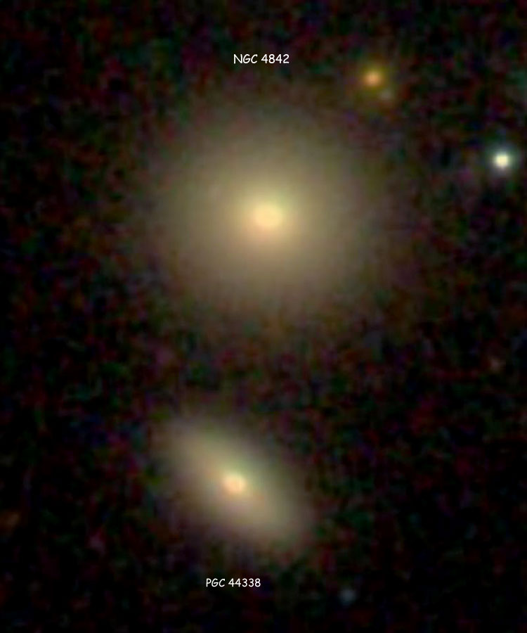 SDSS image of NGC 4842 and its apparent companion, elliptical galaxy PGC 44338