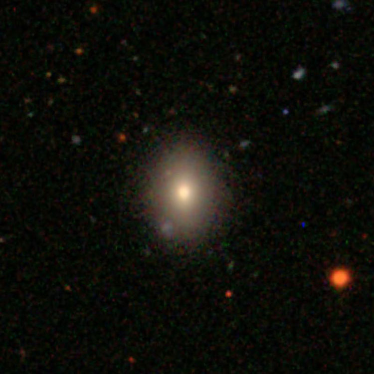 SDSS image of lenticular galaxy NGC 490