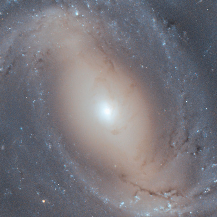 HST image of spiral galaxy NGC 4907