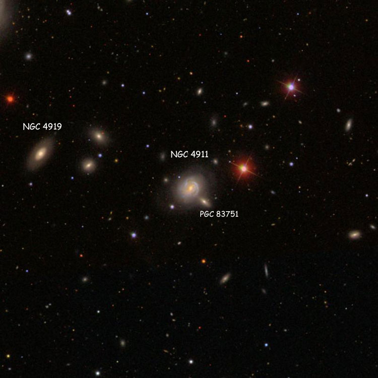SDSS image of region near spiral galaxy NGC 4911; also shown are NGC 4919 and PGC 83751, which is also called NGC 4911A