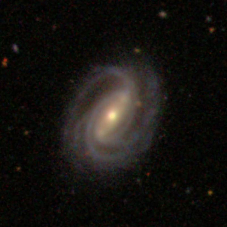 SDSS image of spiral galaxy NGC 4917