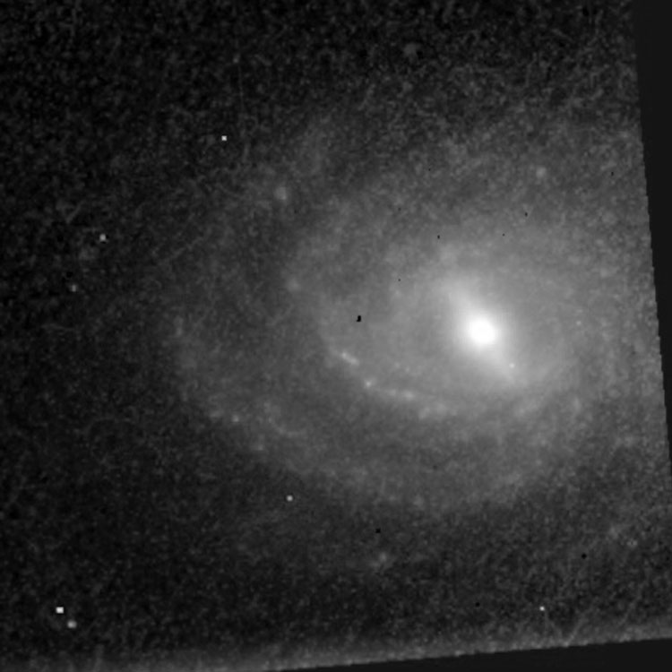 Raw HST image of part of spiral galaxy NGC 491
