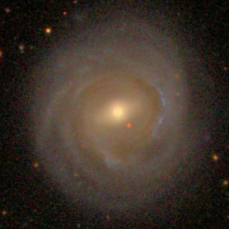 SDSS image of spiral galaxy NGC 4921