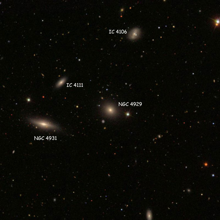 SDSS image of region near elliptical galaxy NGC 4929, also showing NGC 4931, IC 4111 and IC 4106