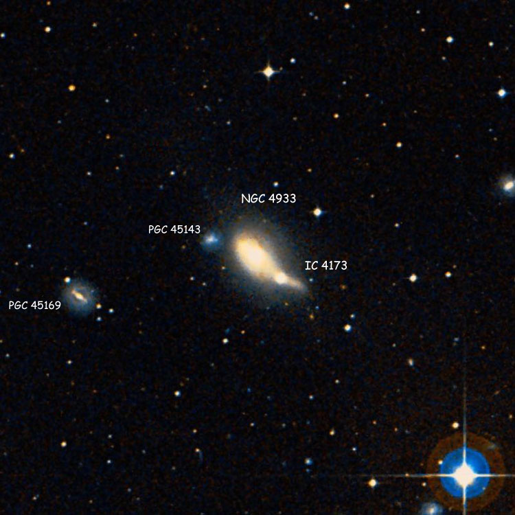 DSS image of lenticular galaxy NGC 4933 (sometimes called NGC 4933A or even NGC 4933B) and elliptical galaxy IC 4173 (sometimes called NGC 4933B or even NGC 4933A), collectively known as Arp 176; also shown are PGC 45143, which is sometimes called NGC 4933C, and PGC 45169, which is sometimes misidentified as IC 4134