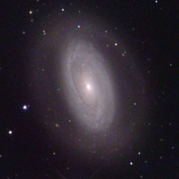NOAO image of spiral galaxy NGC 4941