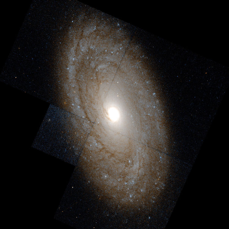 Partially processed HST image of central portion of spiral galaxy NGC 4941