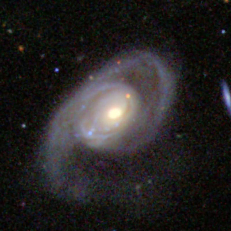 SDSS image of NGC 5201