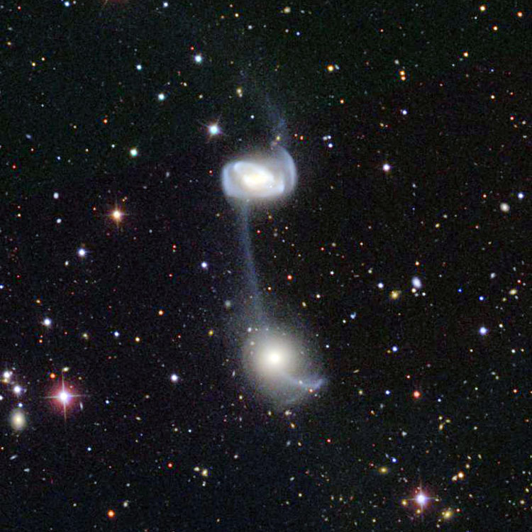 SDSS image centered between NGC 5216 and 5218, also known as Keenan's System, or Arp 104