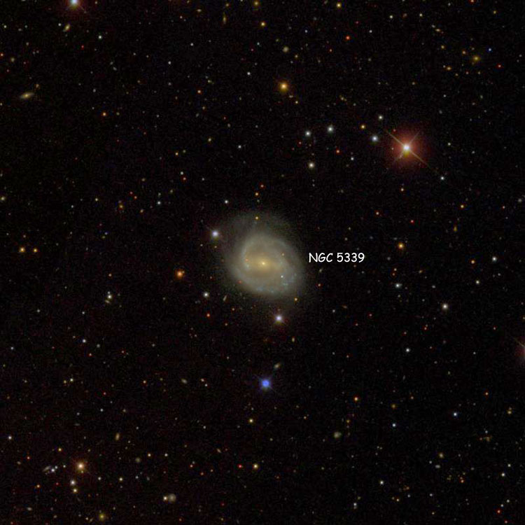 SDSS image of region near spiral galaxy NGC 5339
