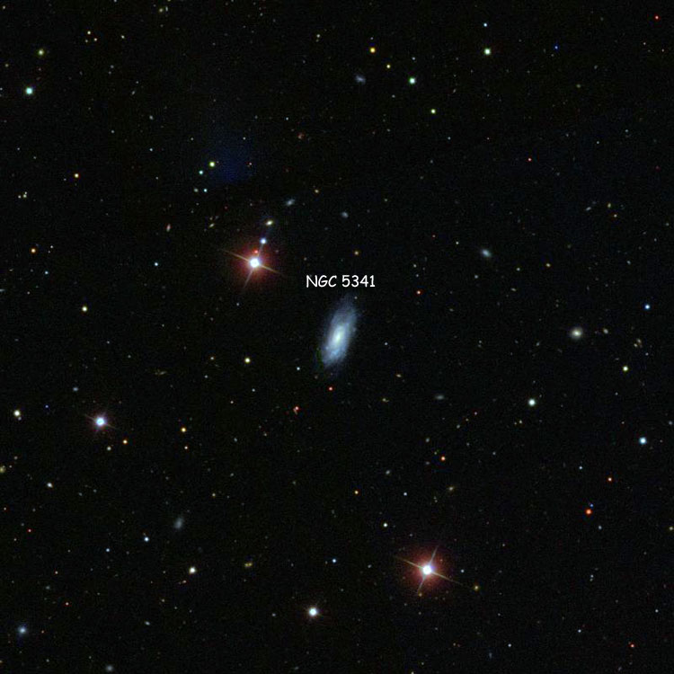 SDSS image of region near spiral galaxy NGC 5341