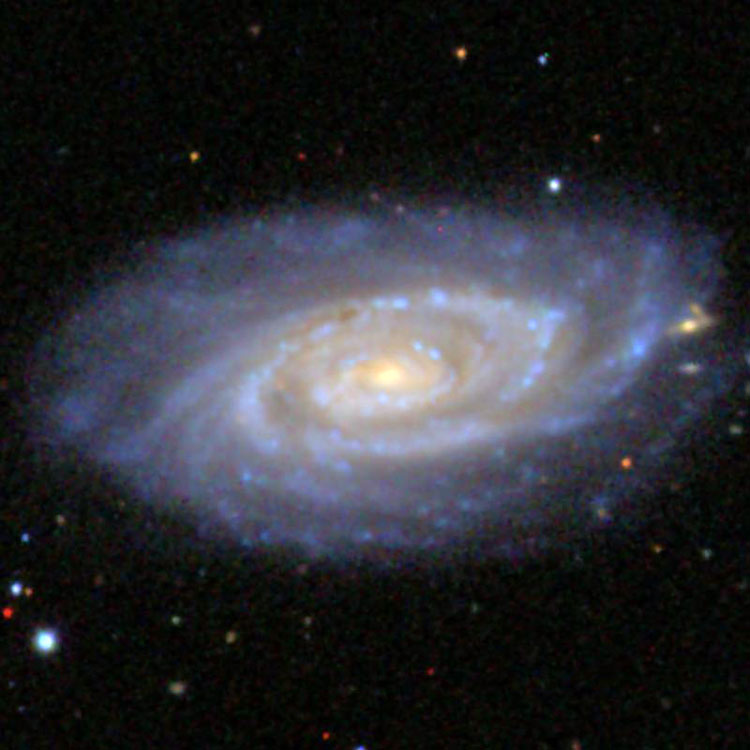 SDSS image of spiral galaxy NGC 5351