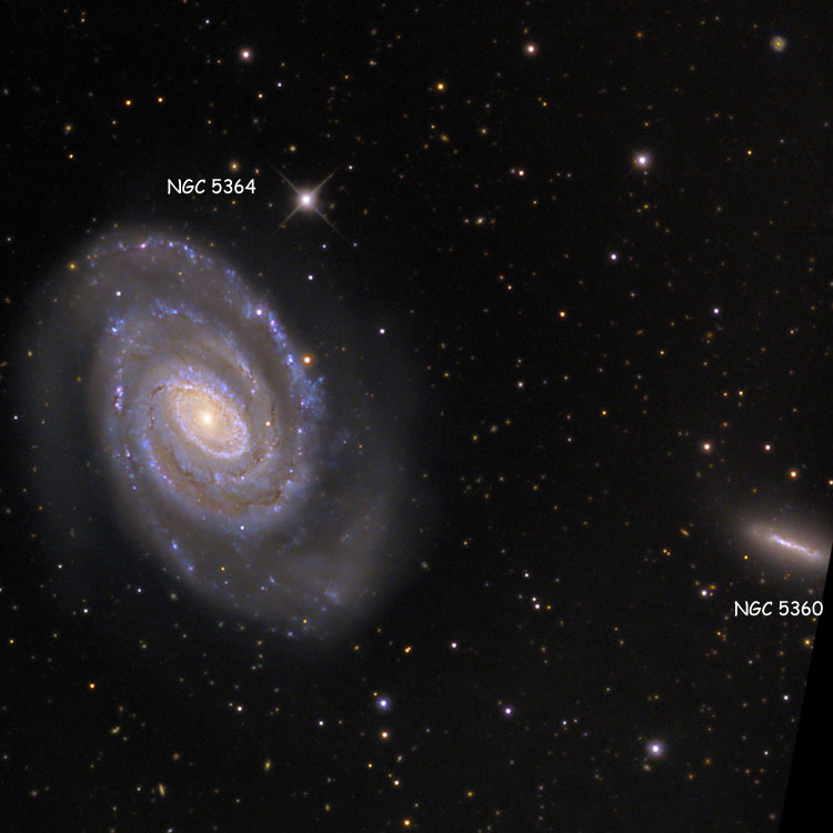 Mount Lemmon SkyCenter image of region between spiral galaxies NGC 5360 and NGC 5364