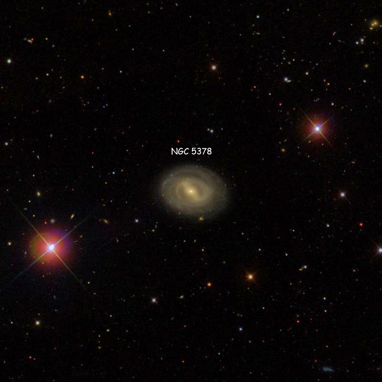 SDSS image of region near spiral galaxy NGC 5378