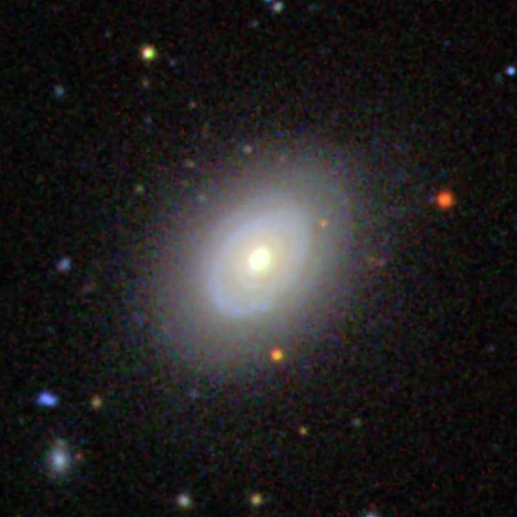SDSS image of lenticular galaxy NGC 5499