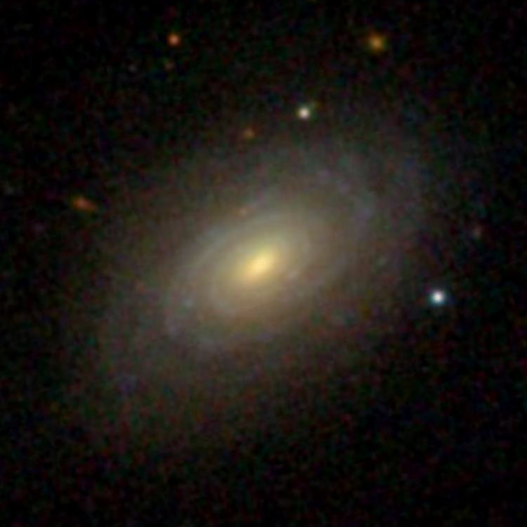SDSS image of spiral galaxy NGC 5517