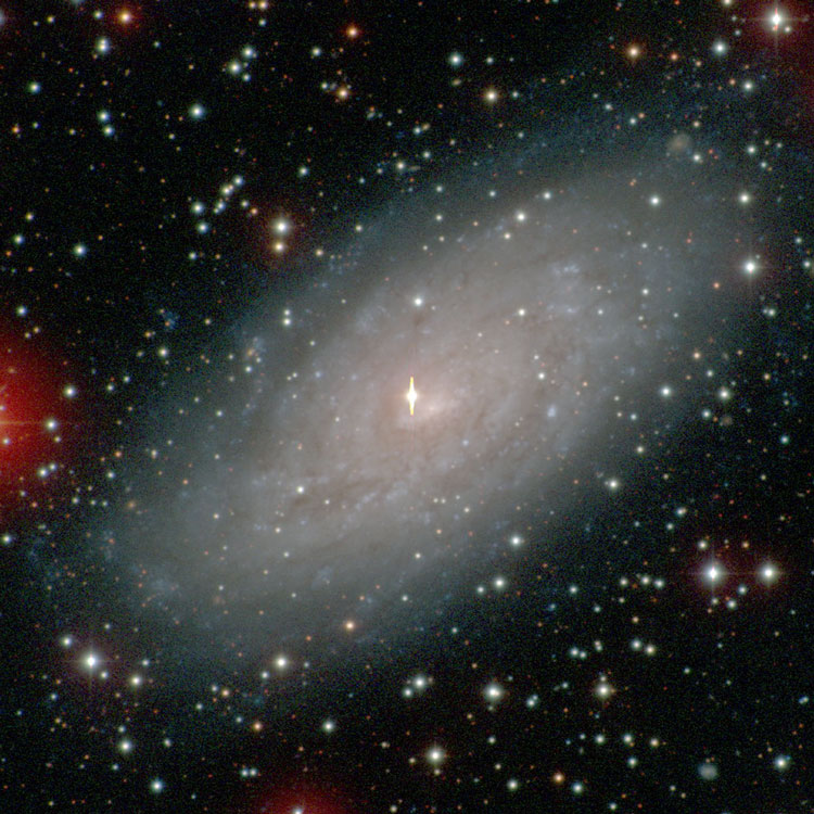 Carnegie-Irvine Galaxy Survey of spiral galaxy NGC 5530