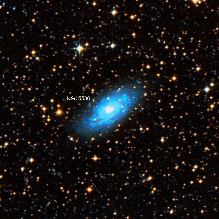 DSS image of region near spiral galaxy NGC 5530