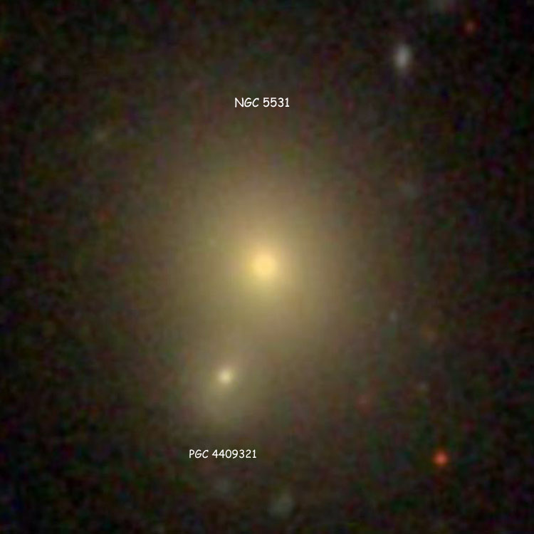 SDSS image of lenticular galaxy NGC 5531, also showing its companion, PGC 4409321, which is sometimes misidentified as part of NGC 5531