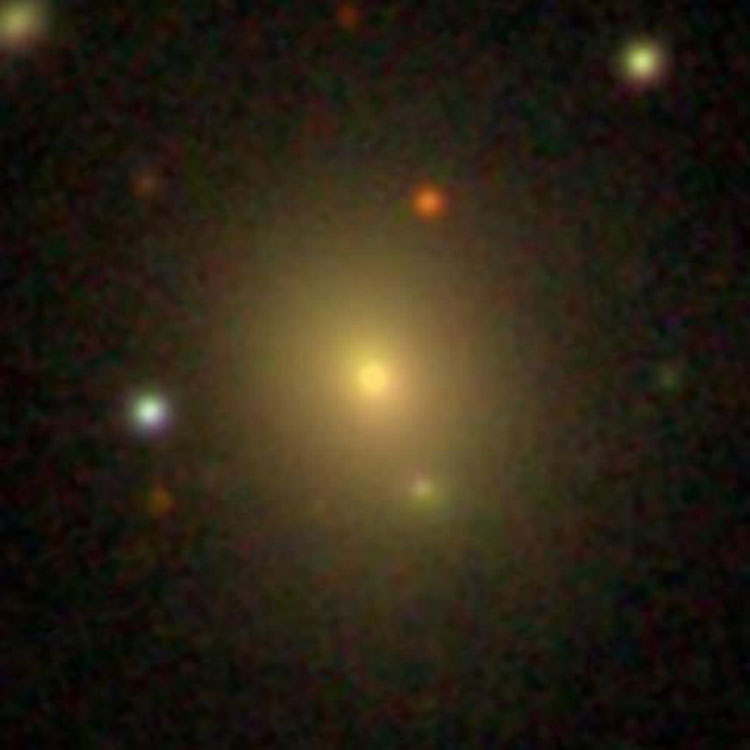 SDSS image of elliptical galaxy NGC 5540