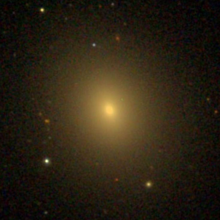 SDSS image of elliptical galaxy NGC 5546