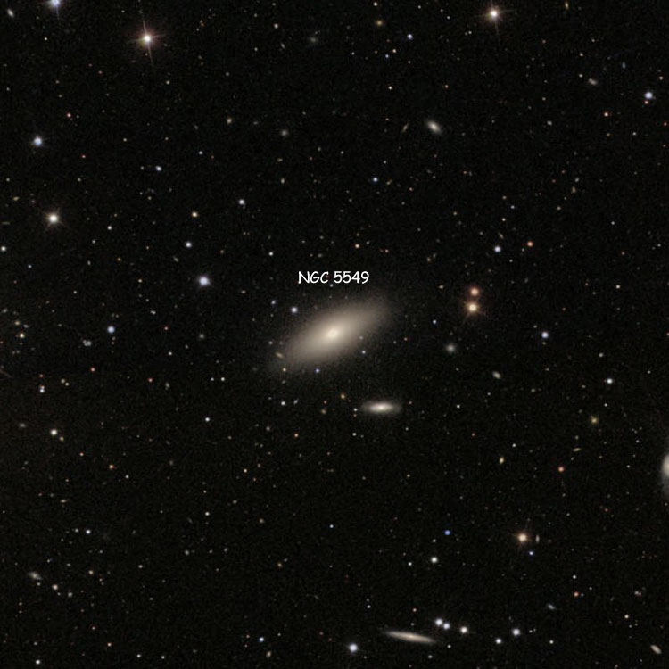 SDSS image of region near lenticular galaxy NGC 5549