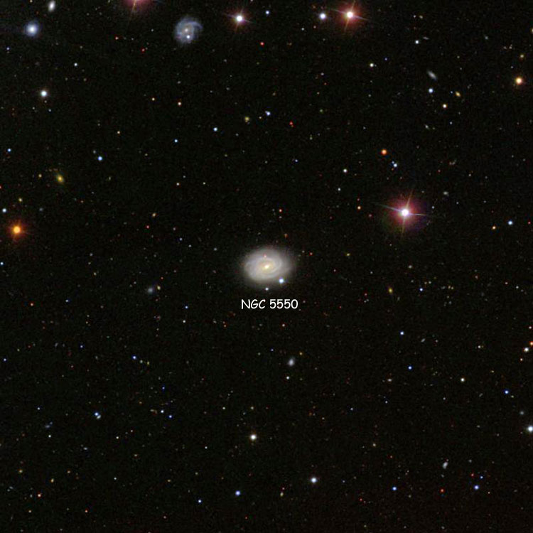 SDSS image of region near spiral galaxy NGC 5550