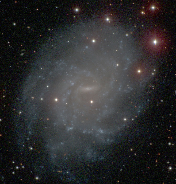 Carnegie-Irvine Galaxy Survey image of spiral galaxy NGC 5556