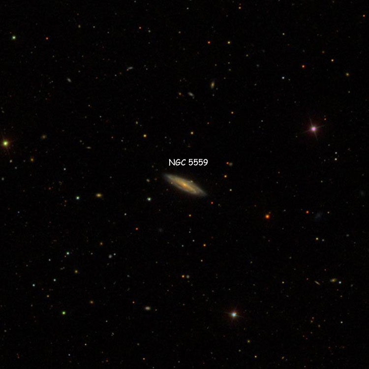 SDSS image of region near spiral galaxy NGC 5559