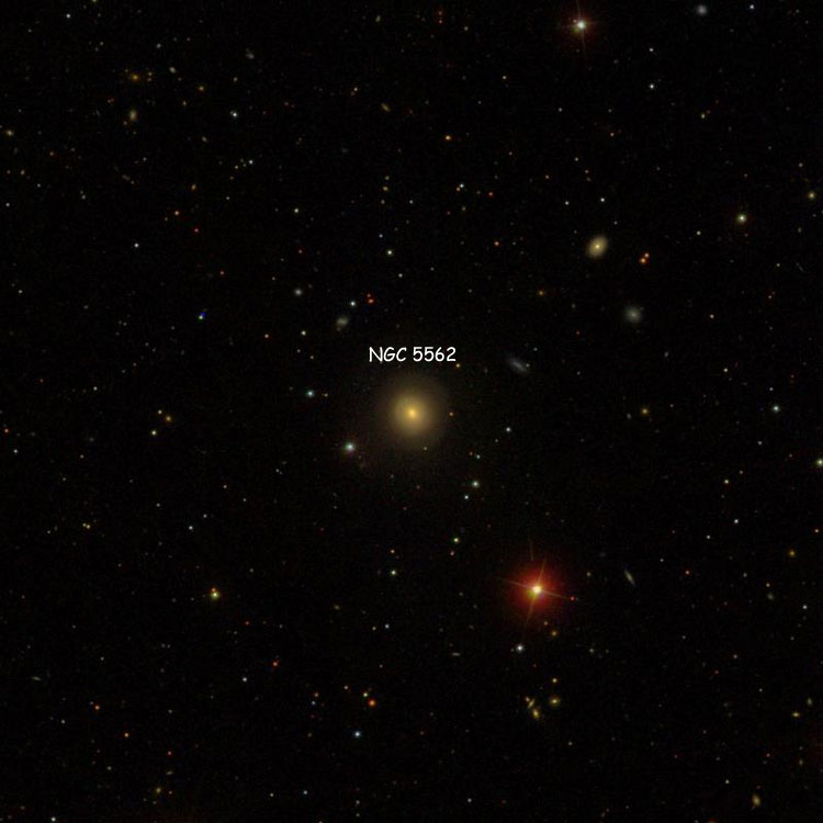 SDSS image of region near lenticular galaxy NGC 5562