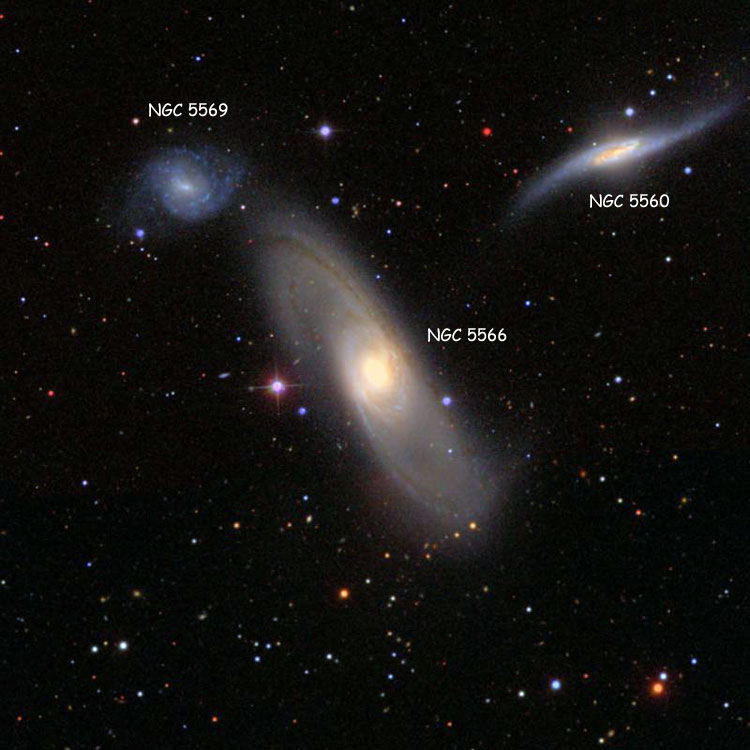 SDSS image of region near spiral galaxy NGC 5566, also showing NGC 5560 and NGC 5569, which with NGC 5566 comprise Arp 286