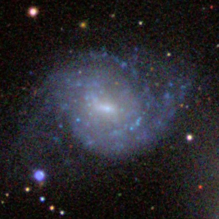 SDSS image of spiral galaxy NGC 5569