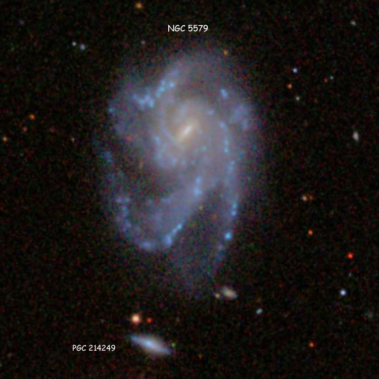 SDSS image of spiral galaxy NGC 5579 and its companion PGC 212249, also known as Arp 69