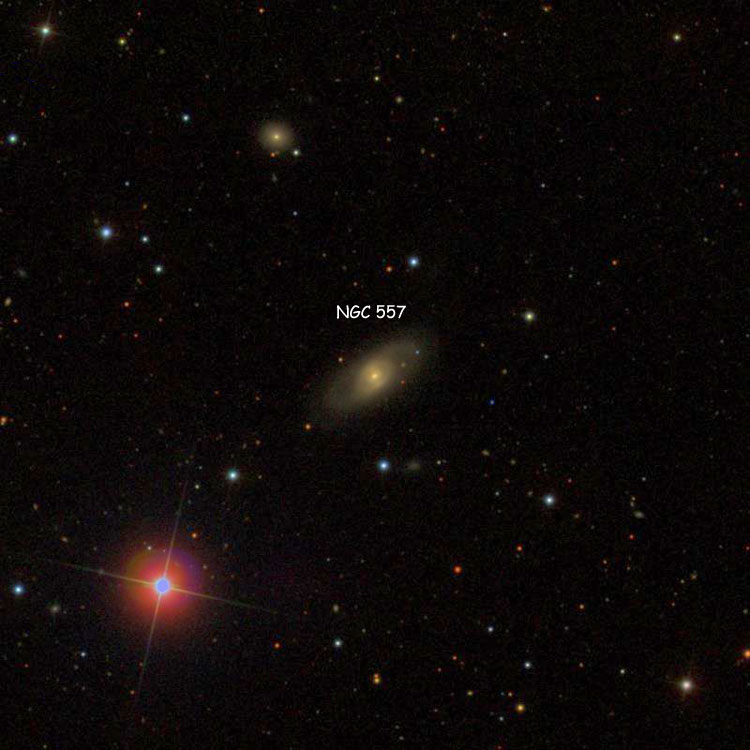 SDSS image of region near lenticular galaxy NGC 557