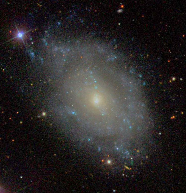SDSS image of spiral galaxy NGC 5585