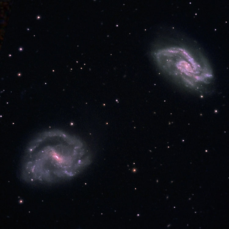 Capella Observatory image of region near spiral galaxies NGC 5595 and NGC 5597