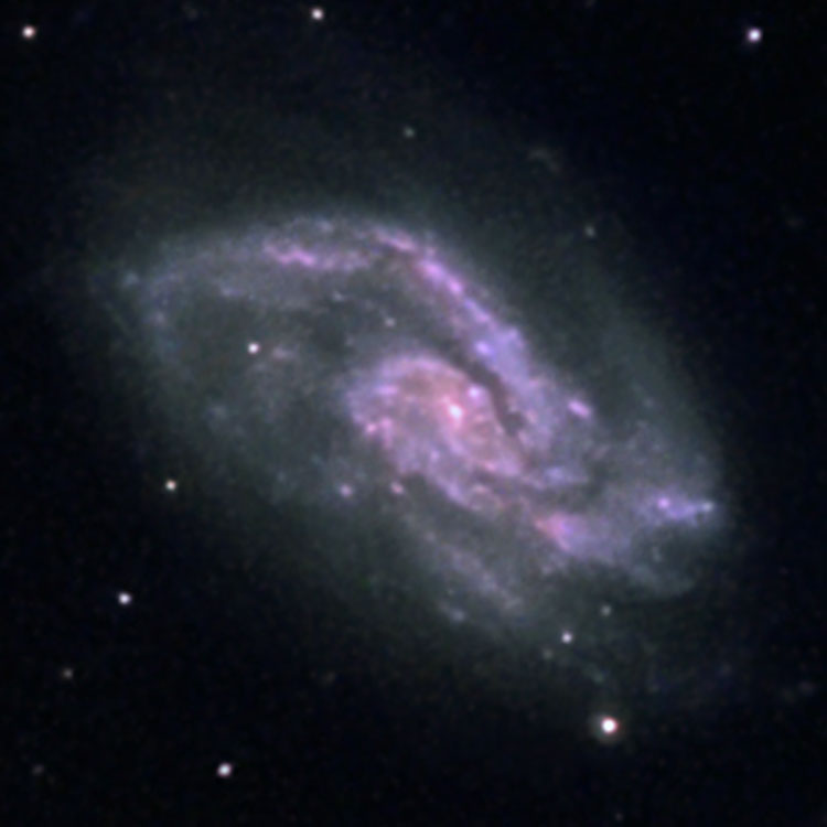 Capella Observatory image of spiral galaxy NGC 5595