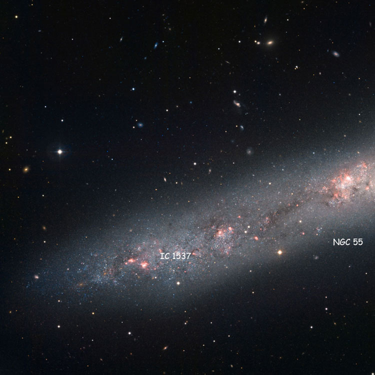 ESO image of the eastern disk and nucleus of spiral galaxy NGC 55, also showing the star formation and emission region listed as IC 1537
