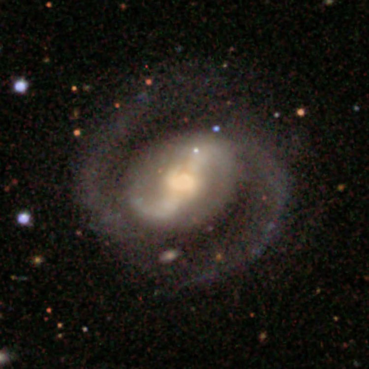 SDSS image of spiral galaxy NGC 561