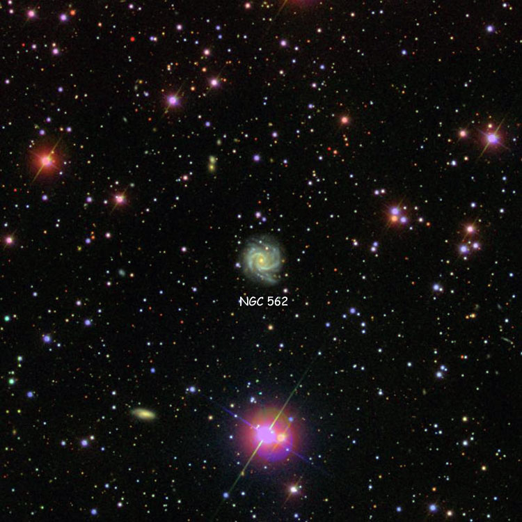 SDSS image of region near spiral galaxy NGC 562
