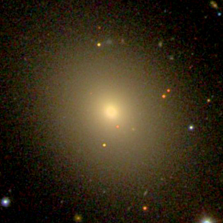 SDSS image of elliptical galaxy NGC 57