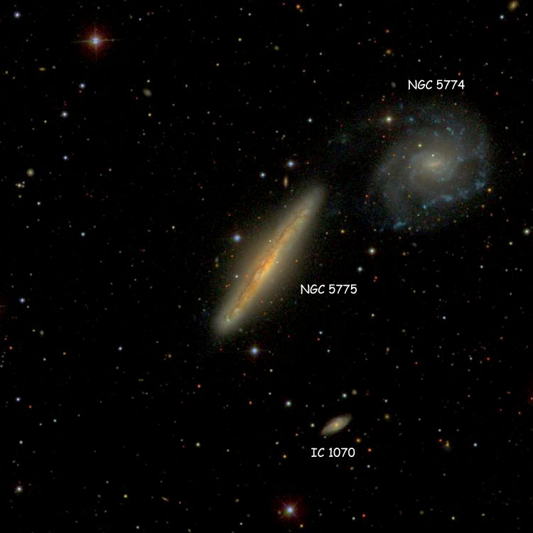 SDSS image of region near spiral galaxy NGC 5775, also showing NGC 5774