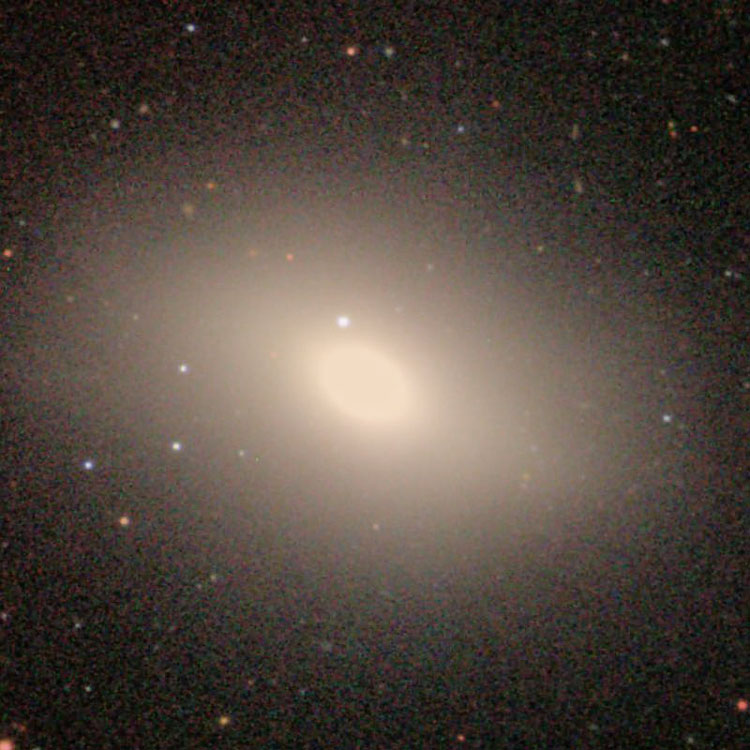 SDSS image of elliptical galaxy NGC 584