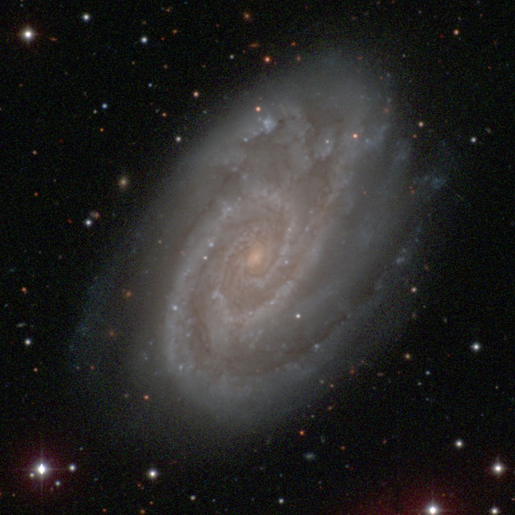 Carnegie-Irvine Galaxy Survey image of spiral galaxy NGC 5861