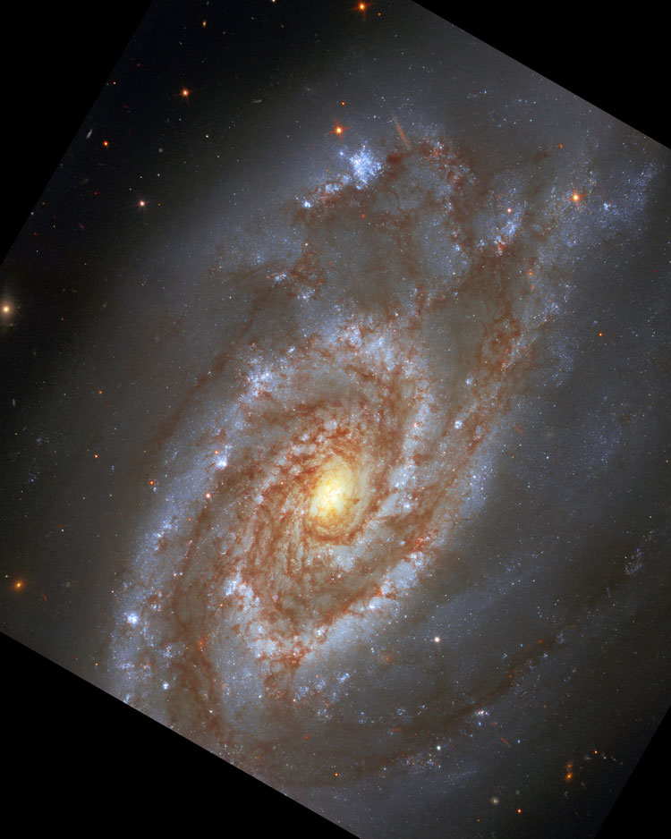 HST image of part of spiral galaxy NGC 5861