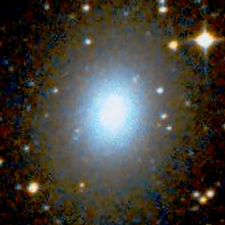 DSS image of  elliptical galaxy NGC 5903