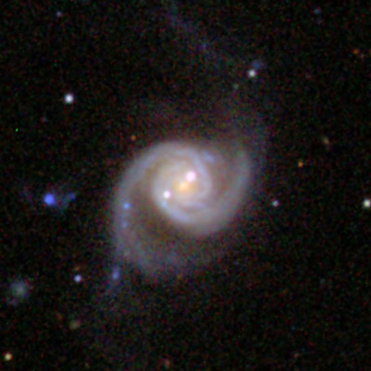 SDSS image of spiral galaxy NGC 5993