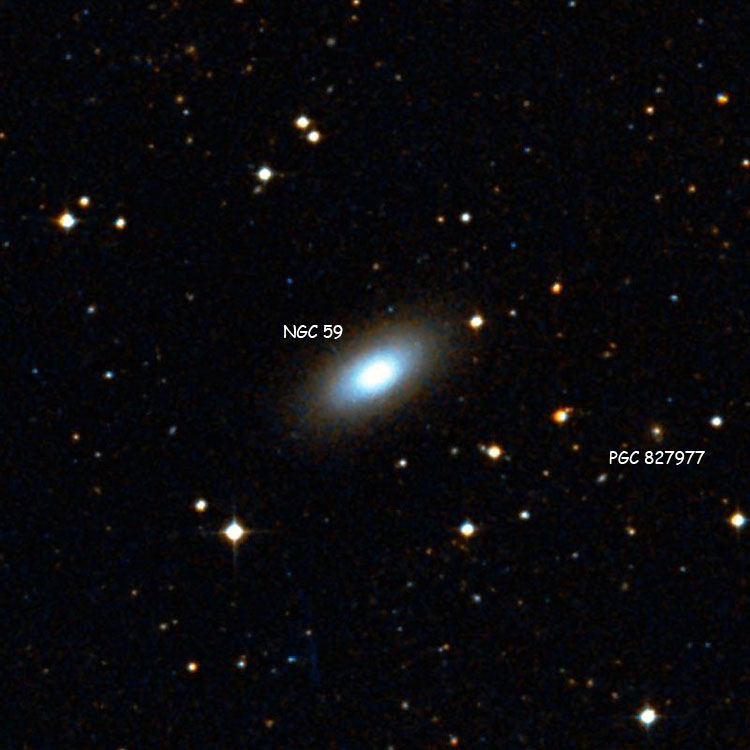 DSS image of region near spiral galaxy NGC 59, also showing PGC 827977