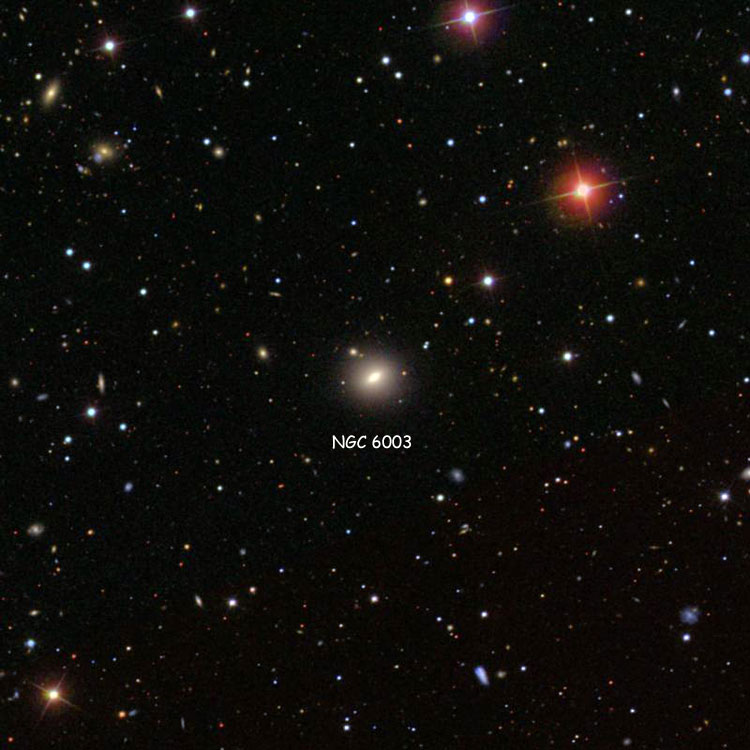 SDSS image of region near lenticular galaxy NGC 6003